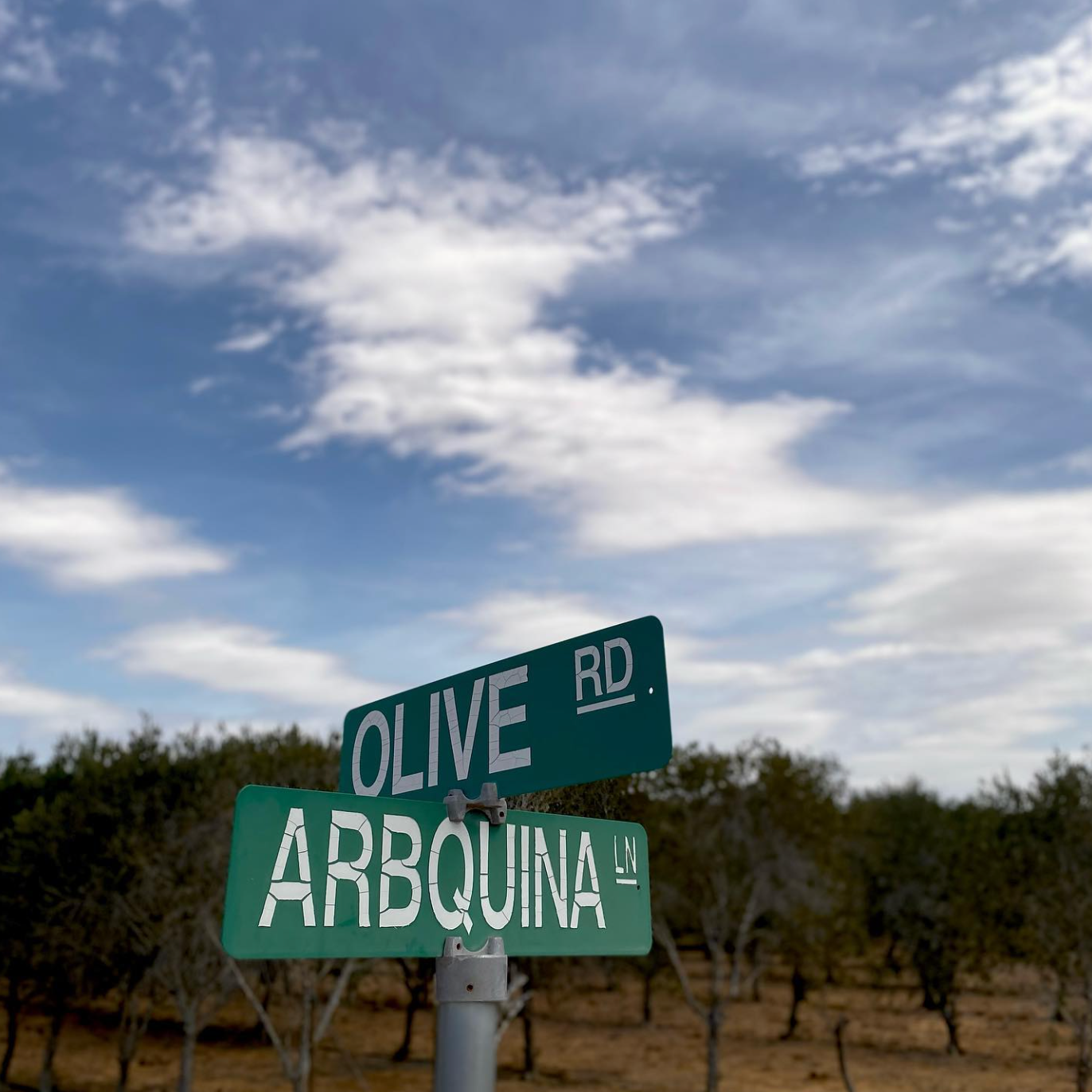 Texas_Olive_Ranch_-_On_the_corner_of_Olive_Road_and_Arbequina_Lane.png