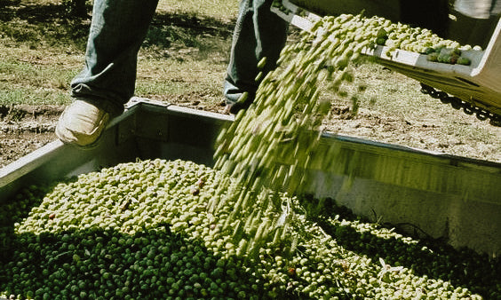 Our Commitment To Our Communities: For Us, Quality Means Clean