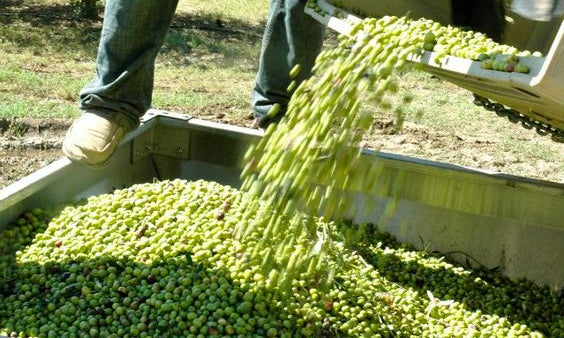 Our 2024 Fall Harvest