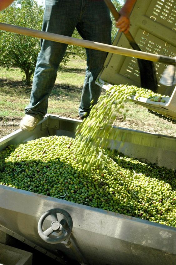 Our 2024 Fall Harvest