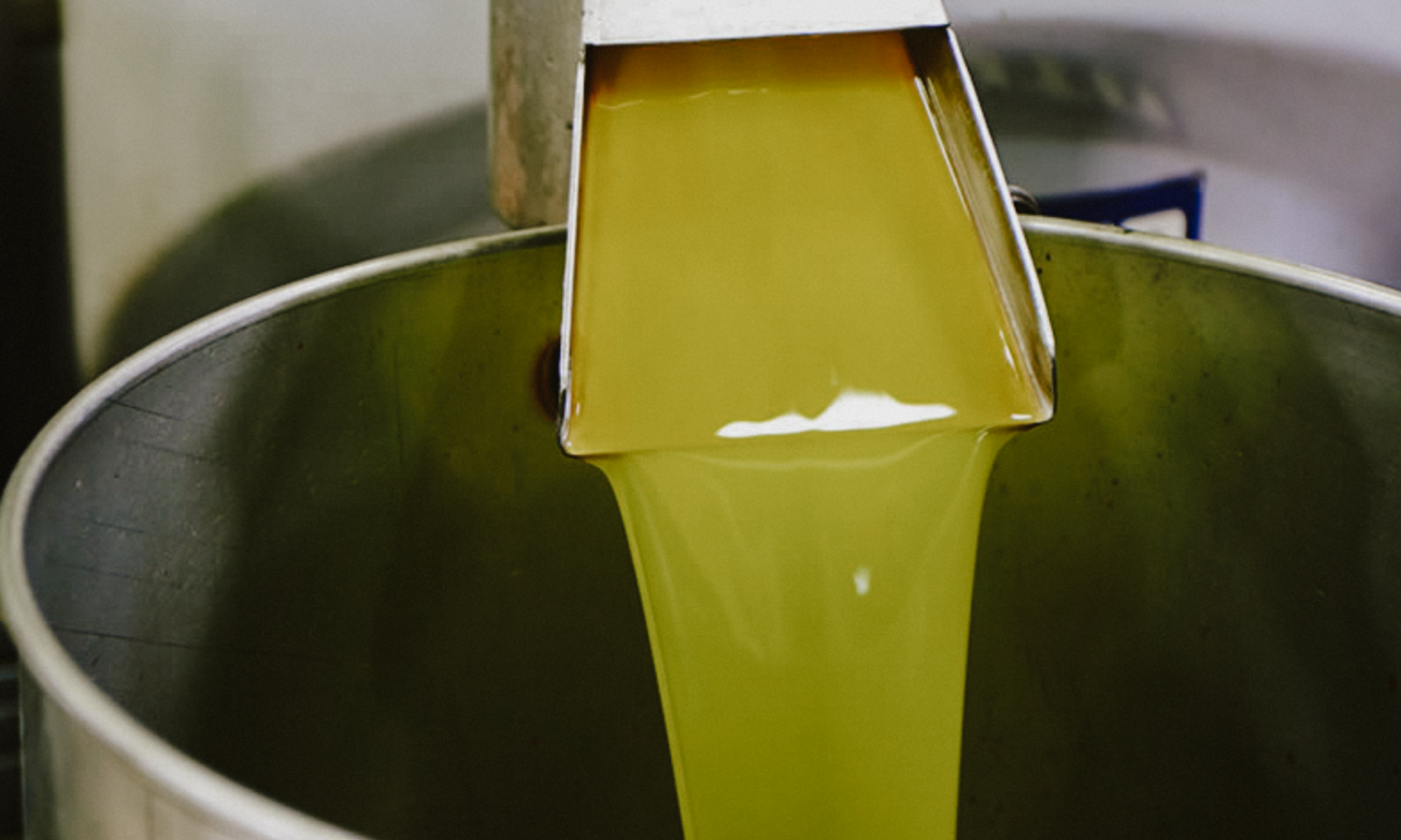 The FDA Officially Endorsed EVOO as a Healthy Choice