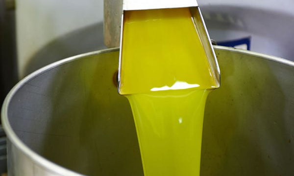 First Cold Pressed - What Does It Mean?