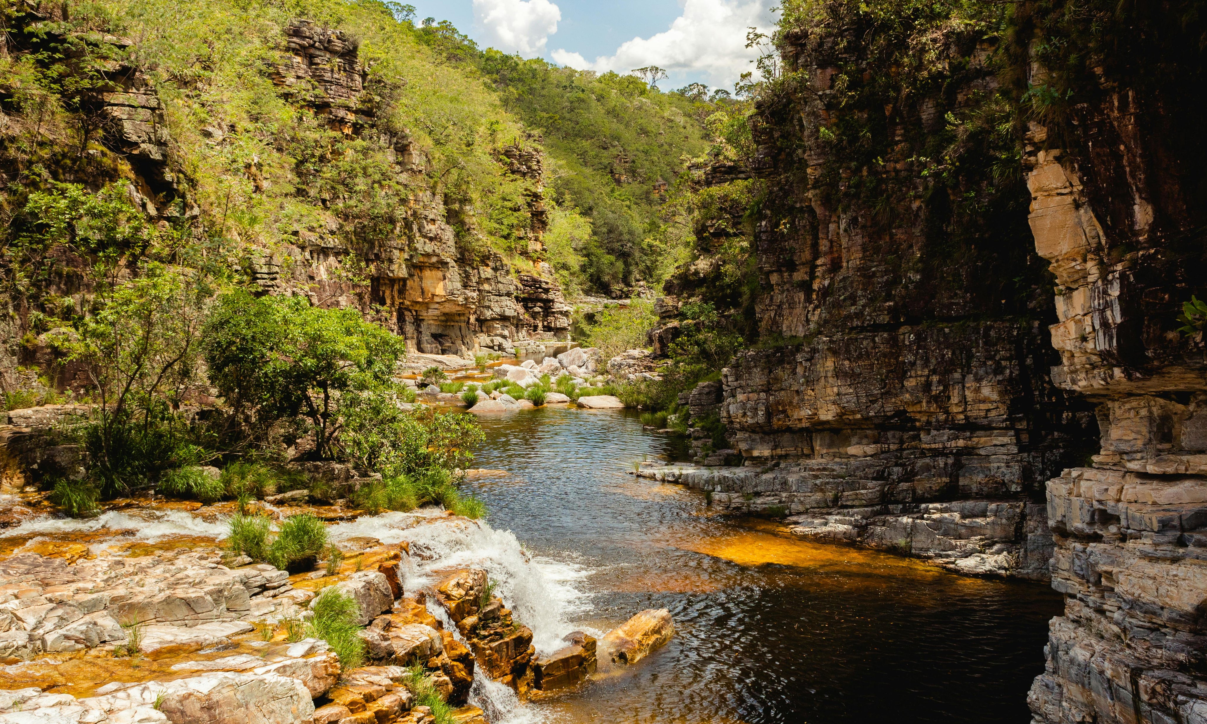 Best State Parks Across The South for a Picnic