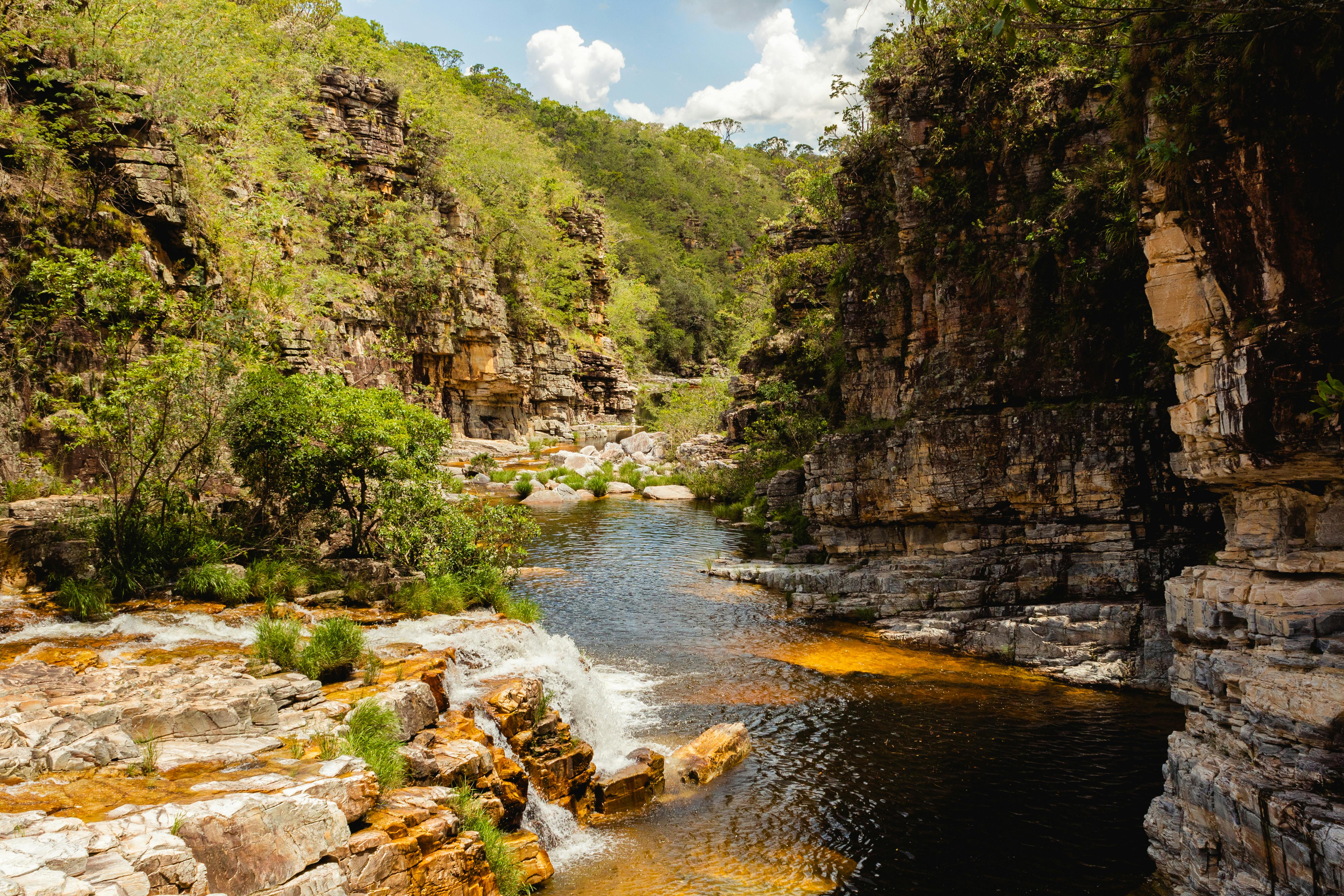 Best State Parks Across The South for a Picnic