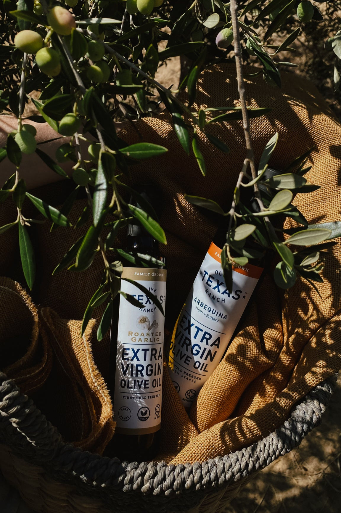 Kitchen Staple, Garlic Infused – Texas Olive Ranch