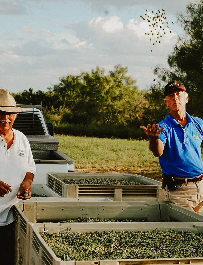 Where everyone else said it couldn't be done, we found a home in South Texas.