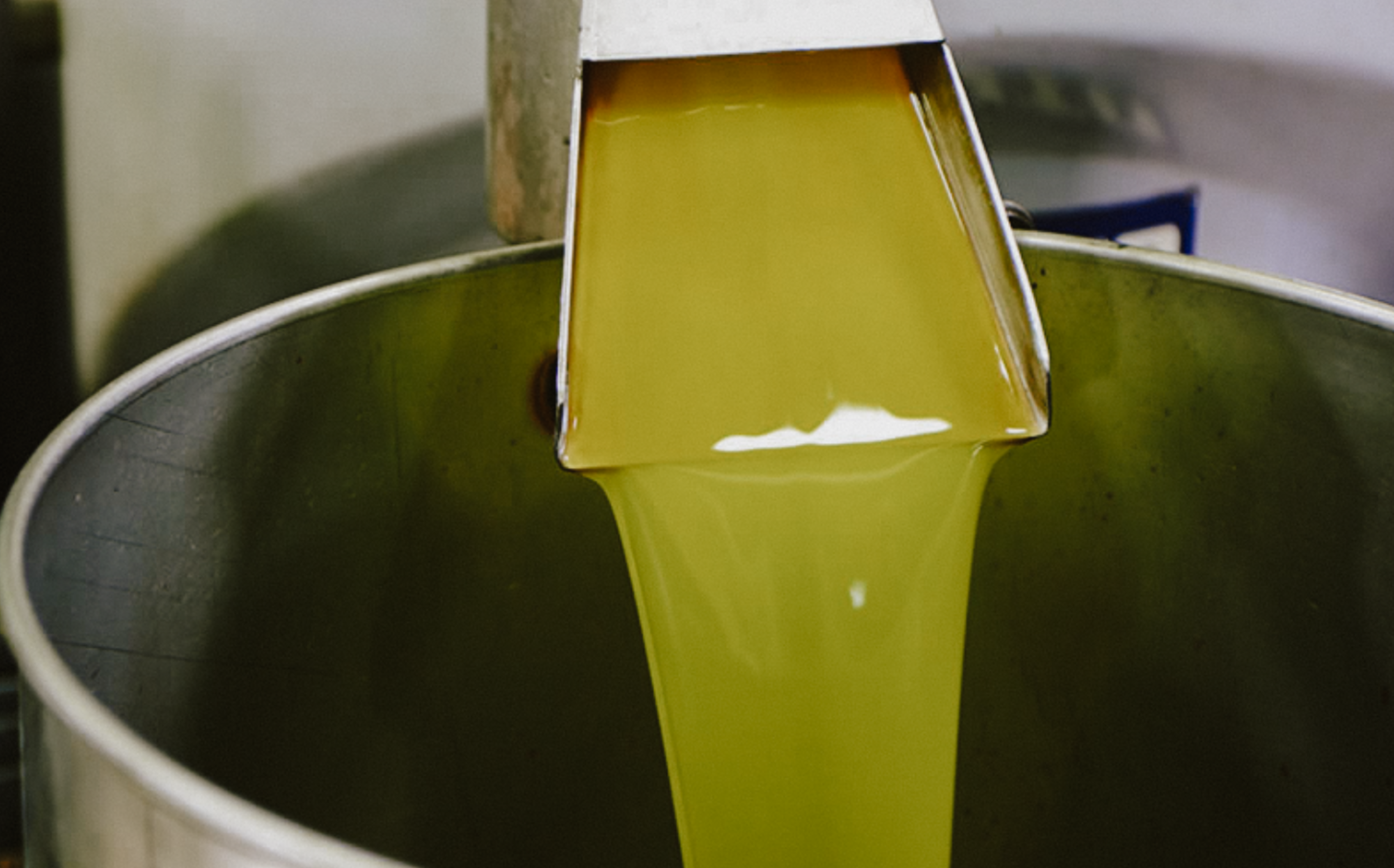 Texas_Olive_Ranch_-_Olive_Press_-_First_Cold_Pressed_Olives.png