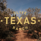 Dang Good Olive Oil | Texas Olive Ranch